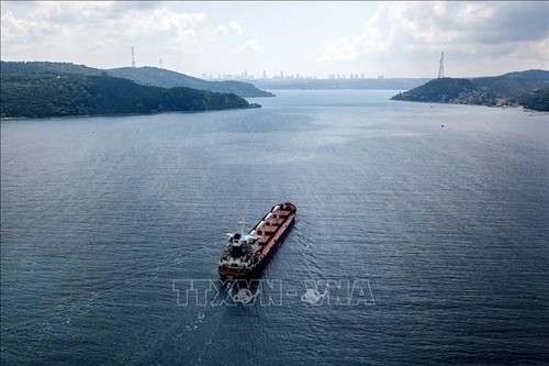 Turquía y Rusia avanzan en las negociaciones sobre el acuerdo de granos del Mar Negro - ảnh 1
