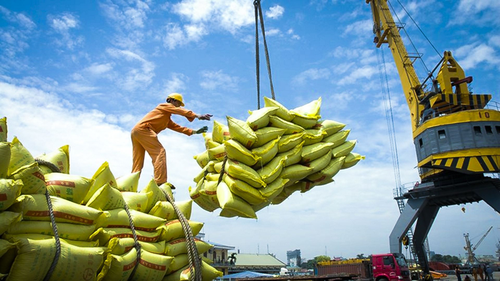 Exportaciones de arroz vietnamita alcanzan récord en 8 meses - ảnh 1