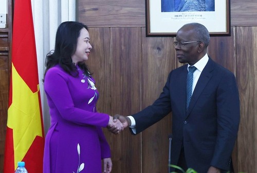 Mozambique, principal socio de Vietnam en África - ảnh 1