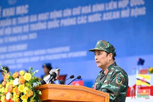 Vietnam acoge por primera vez actividad multilateral sobre mantenimiento de la paz de la ONU - ảnh 1