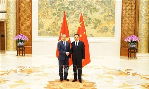 Vietnam y China fortalecen cooperación en prevención y lucha contra delitos - ảnh 1