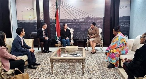 Vicepresidenta de Vietnam realiza visita oficial a Sudáfrica - ảnh 1