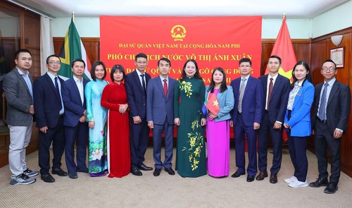 Vicepresidenta de Vietnam se reúne con representantes de empresas sudafricanas - ảnh 1