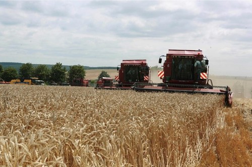 Ucrania planea demandar a Polonia, Hungría y Eslovaquia por prohibiciones de importaciones agrícolas - ảnh 1