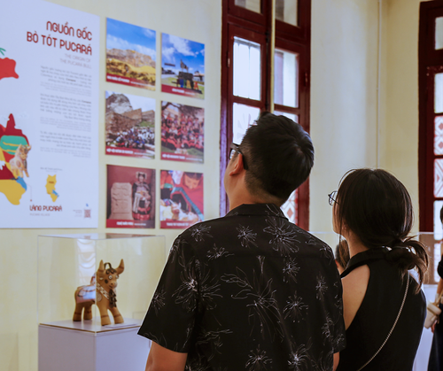 Taller de pintura de torito de Pucará, un acercamiento intercultural entre Vietnam y Perú - ảnh 3