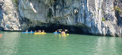 Bahía de Ha Long - Archipiélago de Cat Ba: nueva impronta de Vietnam en la lista del Patrimonio Mundial - ảnh 2