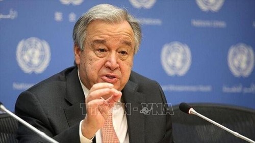 Naciones Unidas teme que se interrumpa la asistencia humanitaria en Níger - ảnh 1