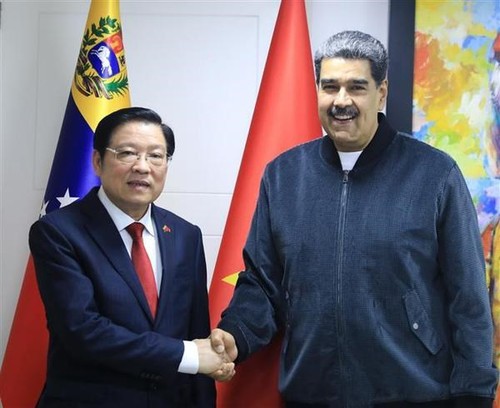 Delegación partidista de Vietnam visita Venezuela - ảnh 1