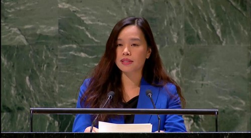Vietnam apoya reforma del funcionamiento de Asamblea General de la ONU - ảnh 1