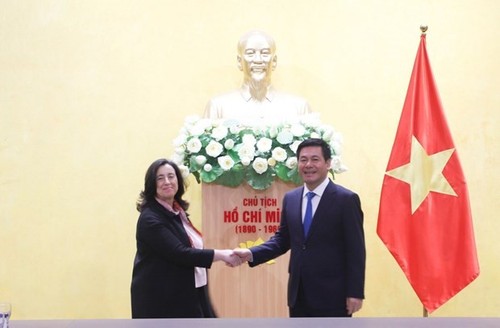 Banco Mundial busca asociación con Vietnam en desarrollo energético - ảnh 1