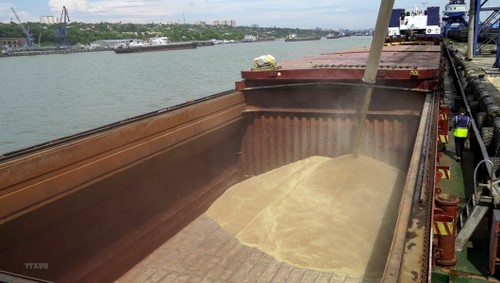 Rusia comienza a enviar cereales a África - ảnh 1