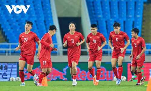 Confederación Asiática de Fútbol predice un difícil partido de Vietnam contra Iraq - ảnh 1
