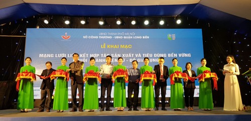 Hanói promueve la cooperación sostenible de producción y consumo en la cadena de electrodomésticos - ảnh 1