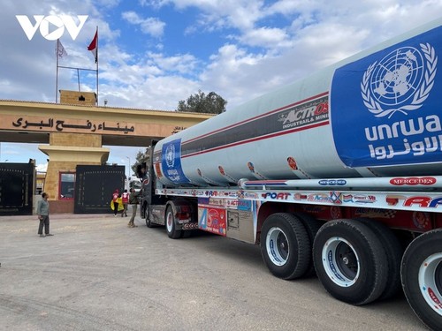 Unos 800 camiones de ayuda humanitaria llegaron a Gaza desde la entrada en vigor de la tregua humanitaria - ảnh 1