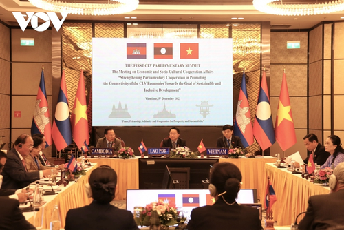 La cooperación parlamentaria promueve la conexión Camboya-Laos-Vietnam - ảnh 1