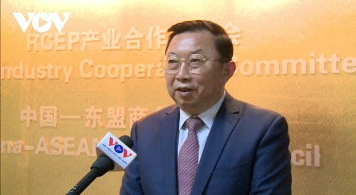 Expertos chinos esperan una cooperación más dinámica con Vietnam con motivo de la visita del presidente Xi Xinping - ảnh 1