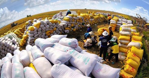 Vietnam comprometido a seguir contribuyendo a la seguridad alimentaria mundial - ảnh 1