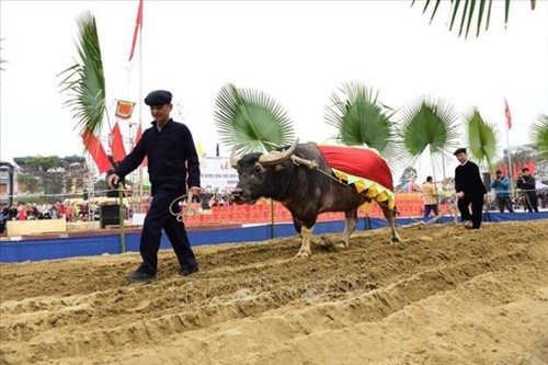 Long Tong, festividad singular de la etnia Tay en Ha Giang - ảnh 2