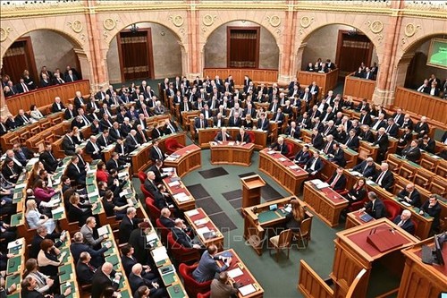 Parlamento húngaro aprueba la membresía de Suecia en la OTAN - ảnh 1