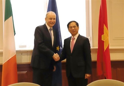 Vietnam e Irlanda forjarán cooperación en diferentes ámbitos - ảnh 1