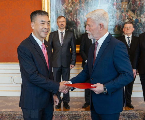 Presidente checo elogia la tradicional amistad con Vietnam - ảnh 1
