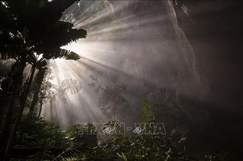 La cueva de Son Doong nombrada entre las 10 más bellas del mundo - ảnh 2