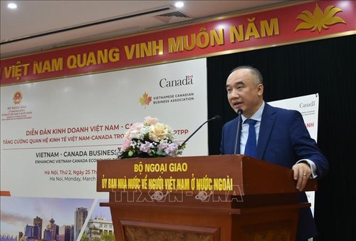 Promueven cooperación económica y comercial entre Vietnam y Canadá - ảnh 1