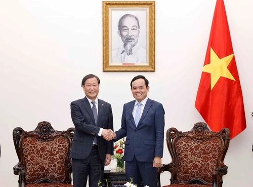 Viceprimer Ministro de Vietnam recibe al Vicepresidente Ejecutivo Senior de JICA - ảnh 1