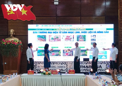 Promueven el ginseng Ngoc Linh en plataforma de comercio electrónico - ảnh 1