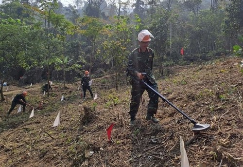Vietnam y Corea del Sur cooperan en curso de capacitación sobre minas - ảnh 1