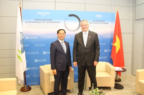 Canciller vietnamita se reúne con altos dirigentes de la diplomacia de varios países - ảnh 1