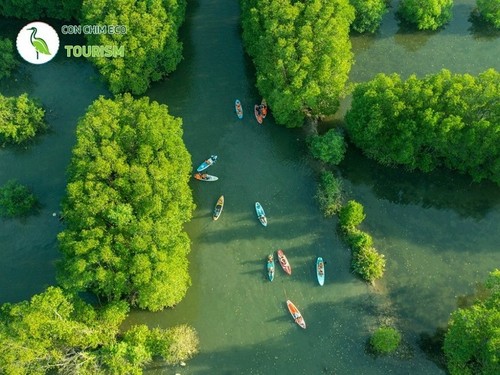 Zona ecológica de Con Chim: la joya verde de Binh Dinh  - ảnh 7