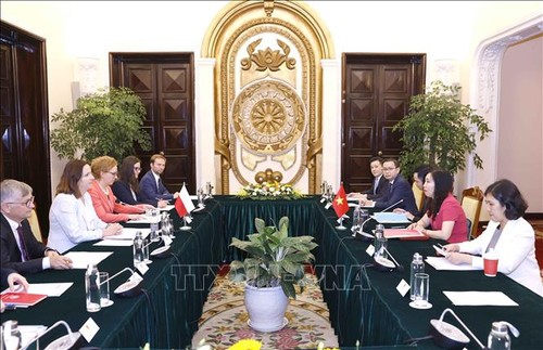 Vietnam y Polonia celebran consulta política a nivel viceministerial - ảnh 1