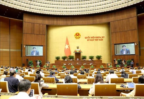 Diputados debaten aplicación de políticas específicas para el desarrollo de Da Nang - ảnh 1
