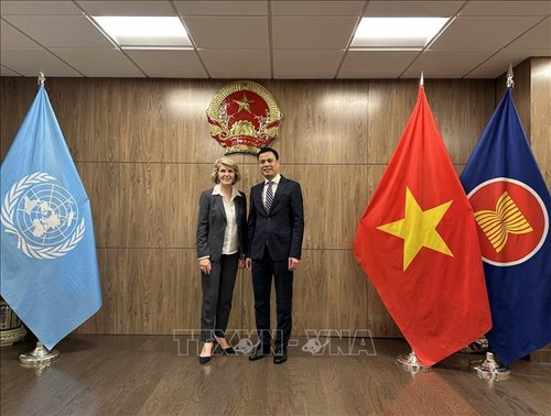 Vietnam espera que la ONU y la ASEAN coordinen de manera estrecha y eficaz la cuestión de Myanmar - ảnh 1