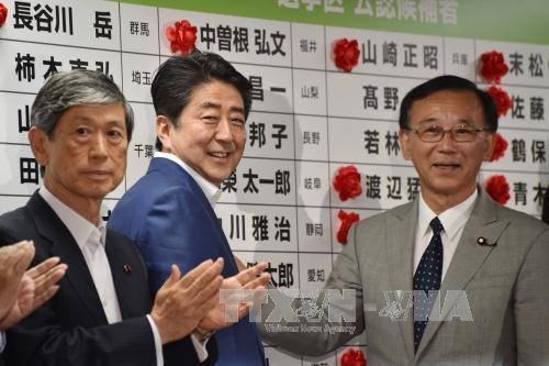 日本参议院选举民调：执政党有望赢得多数议席 - ảnh 1