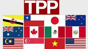 奥巴马希望美国国会年内批准TPP协定 - ảnh 1