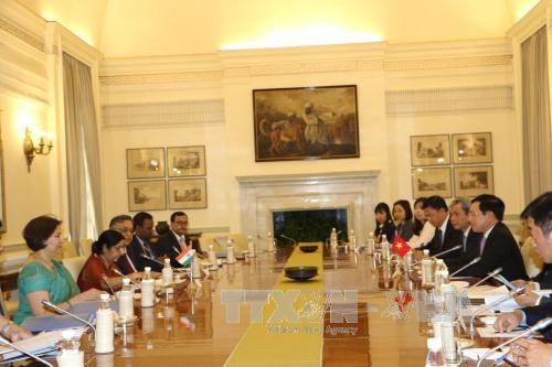 越南政府副总理兼外长范平明访问印度 - ảnh 1