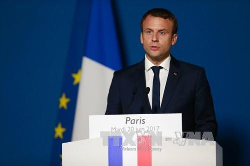 法国总统马克龙：反恐将成为法国外交政策中的头等优先内容 - ảnh 1
