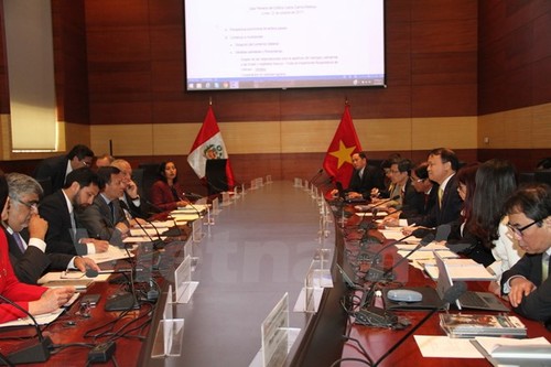 越南-秘鲁政府间合作委员会举行第一次会议在利马举行 - ảnh 1
