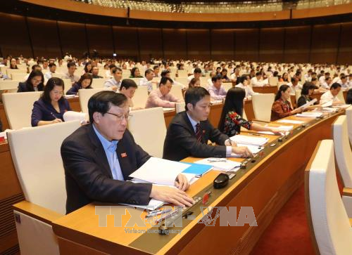 越南国会表决通过《林业法》 - ảnh 1
