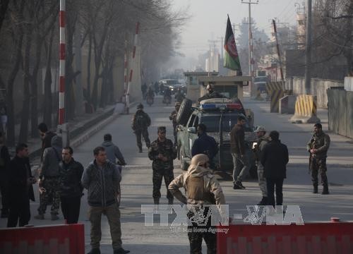 阿富汗发生汽车炸弹袭击事件 致16人死伤 - ảnh 1