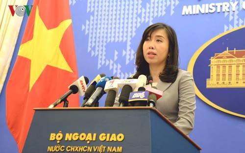 依照越南缔结的人权国际公约保障和推动人权是越南的一贯政策 - ảnh 1