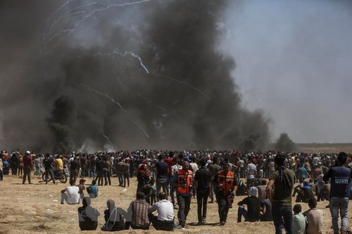 海牙国际刑事法院承诺严密注视加沙地带暴力情况 - ảnh 1