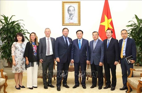 越南政府副总理王庭惠会见英国首相贸易特使艾德·维济 - ảnh 1