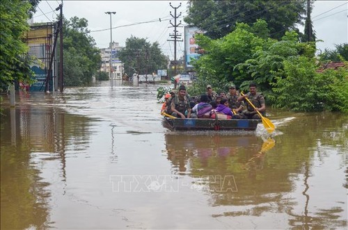 印度暴雨成灾已造成至少184人死亡 - ảnh 1