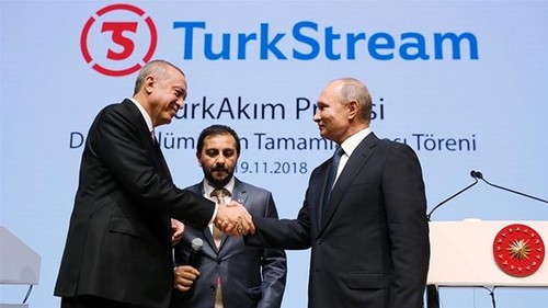 俄土领导人出席“土耳其溪”天然气管道启用仪式 - ảnh 1