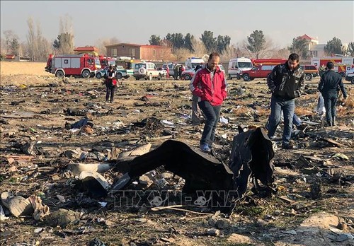 乌克兰客机在伊朗坠毁 - ảnh 1