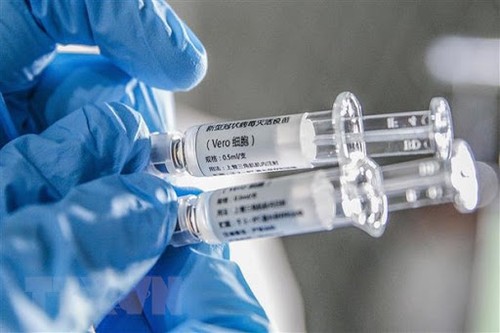 联合国希望为了世界的利益而推进新冠肺炎疫苗研发 - ảnh 1