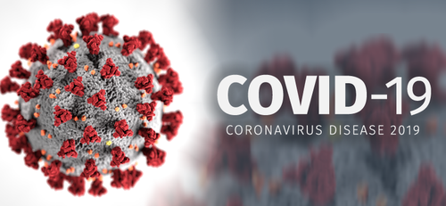 世卫组织：新型冠状病毒起源自动物的可能性较高 - ảnh 1